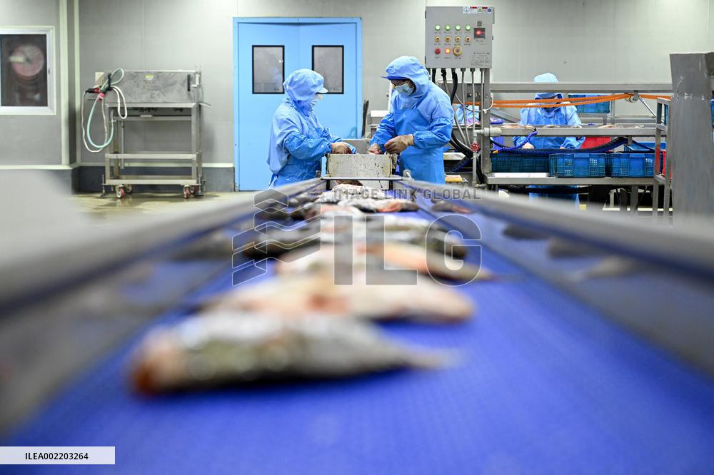 (AmazingAnhui)CHINA-ANHUI-HUANGSHAN-FERMENTED MANDARIN FISH (CN)