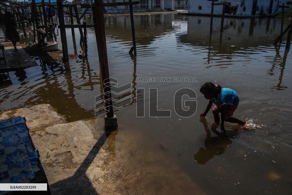 The Burden Of Leprosy In Indonesia
