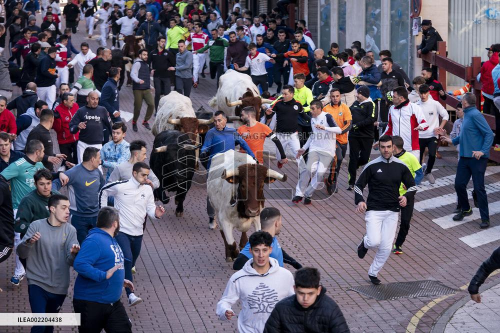 Bull runs in San Sebastian de los Reyes near Madrid