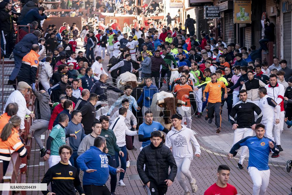 Bull runs in San Sebastian de los Reyes near Madrid