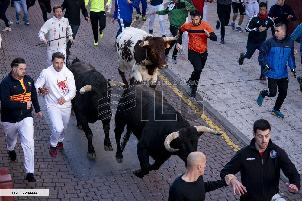 Bull runs in San Sebastian de los Reyes near Madrid