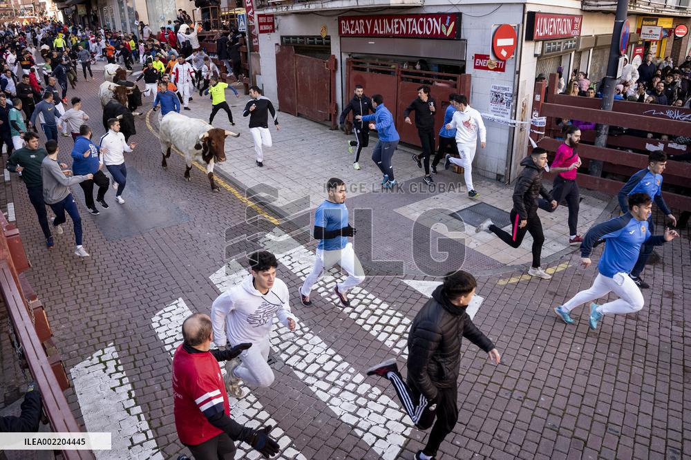 Bull runs in San Sebastian de los Reyes near Madrid