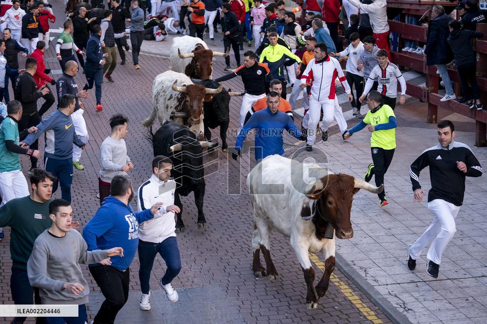 Bull runs in San Sebastian de los Reyes near Madrid