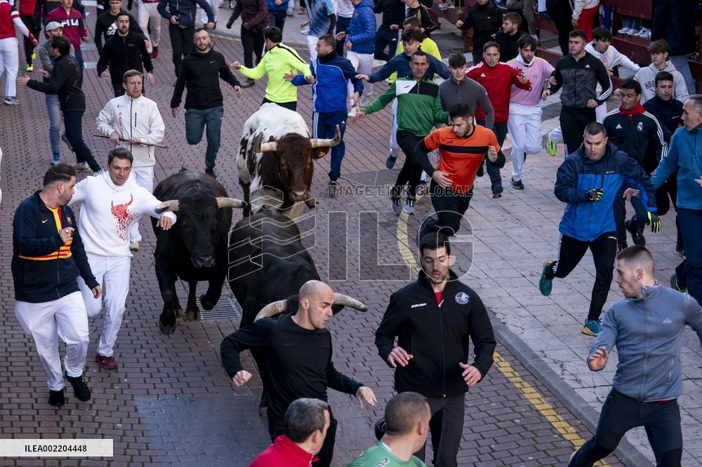 Bull runs in San Sebastian de los Reyes near Madrid