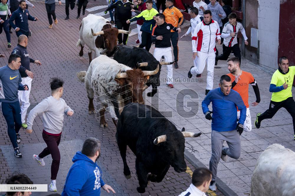 Bull runs in San Sebastian de los Reyes near Madrid