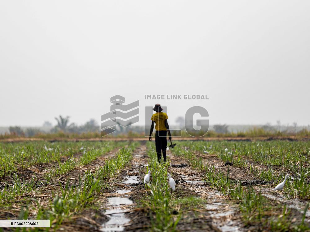 TOGO-ANIE-CHINA-WATER PROJECT