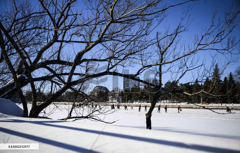 World's Largest Natural Ice Rink Reopens - Ottawa