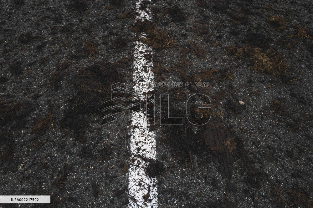 Farmers Block Golfech Nuclear Power Station - South Western France