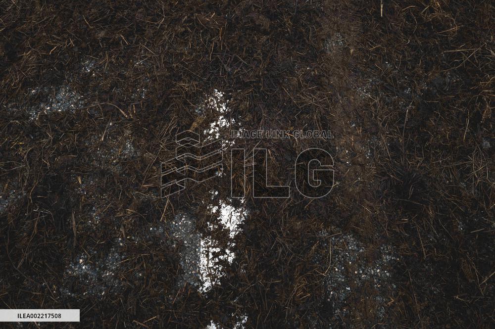 Farmers Block Golfech Nuclear Power Station - South Western France