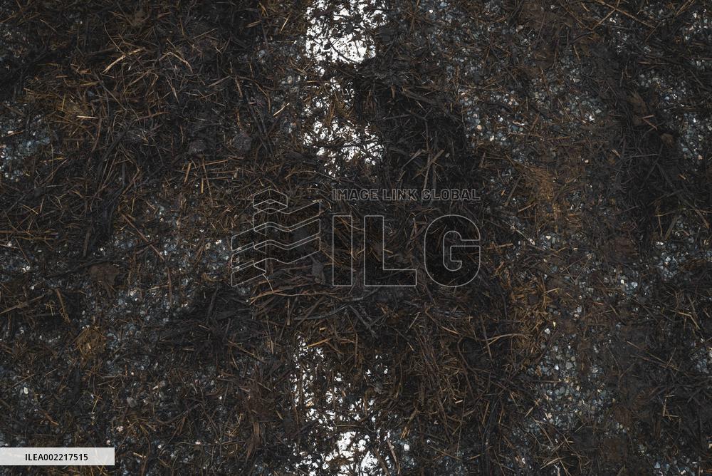 Farmers Block Golfech Nuclear Power Station - South Western France