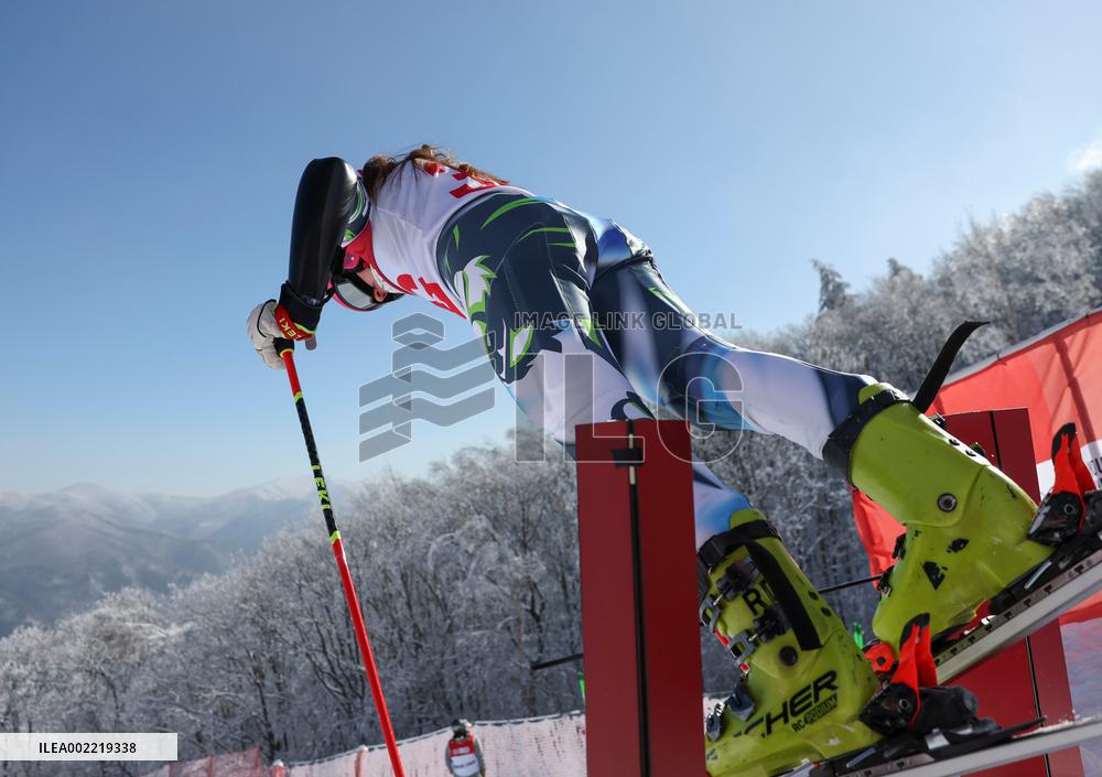 (SP)SOUTH KOREA-JEONGSEON-WINTER YOUTH OLYMPIC GAMES-ALPINE SKIING