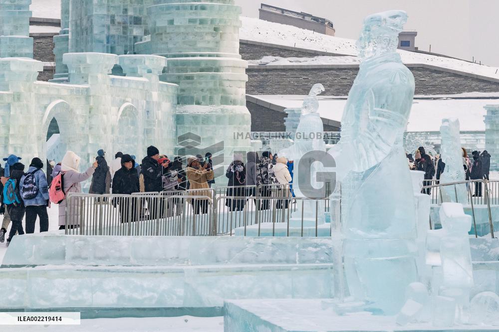 CHINA-HEILONGJIANG-HARBIN-ICE SCULPTURE-TERRACOTTA WARRIORS (CN)