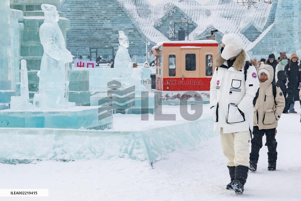 CHINA-HEILONGJIANG-HARBIN-ICE SCULPTURE-TERRACOTTA WARRIORS (CN)