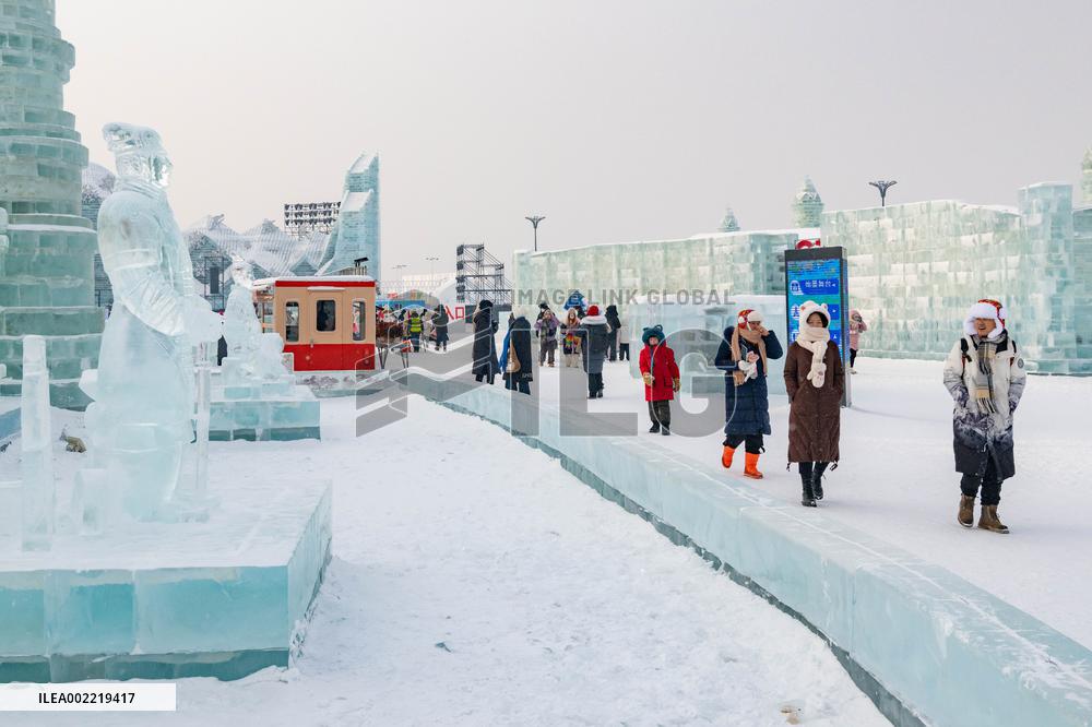CHINA-HEILONGJIANG-HARBIN-ICE SCULPTURE-TERRACOTTA WARRIORS (CN)