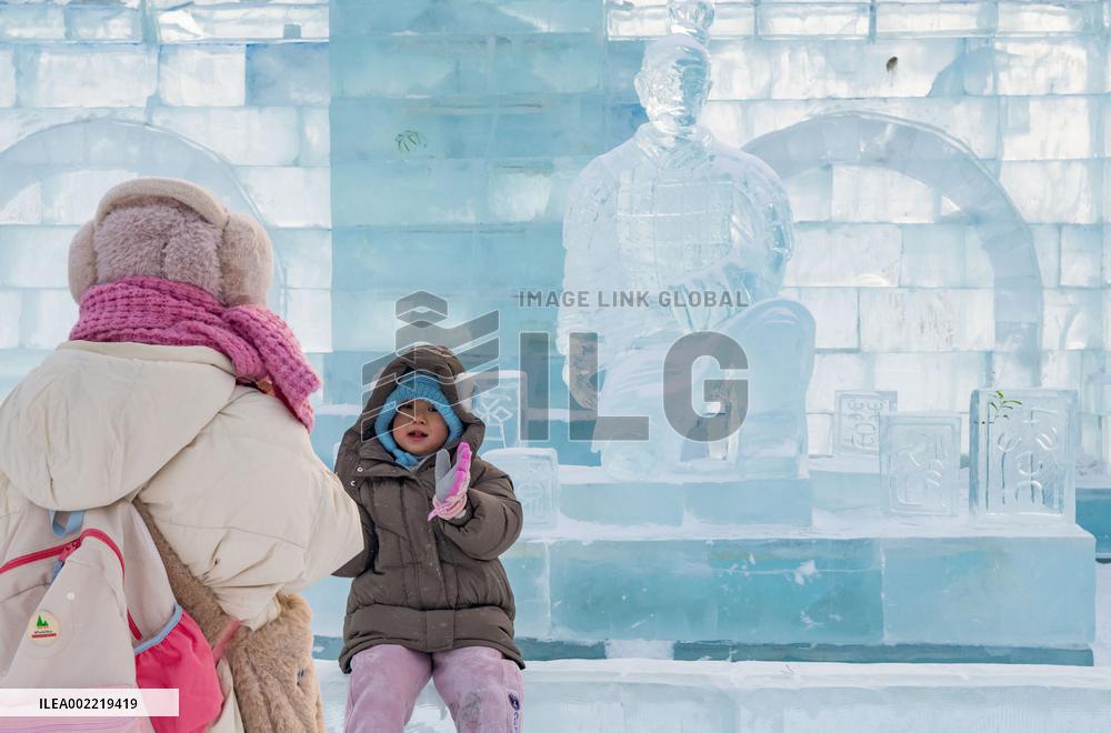 CHINA-HEILONGJIANG-HARBIN-ICE SCULPTURE-TERRACOTTA WARRIORS (CN)
