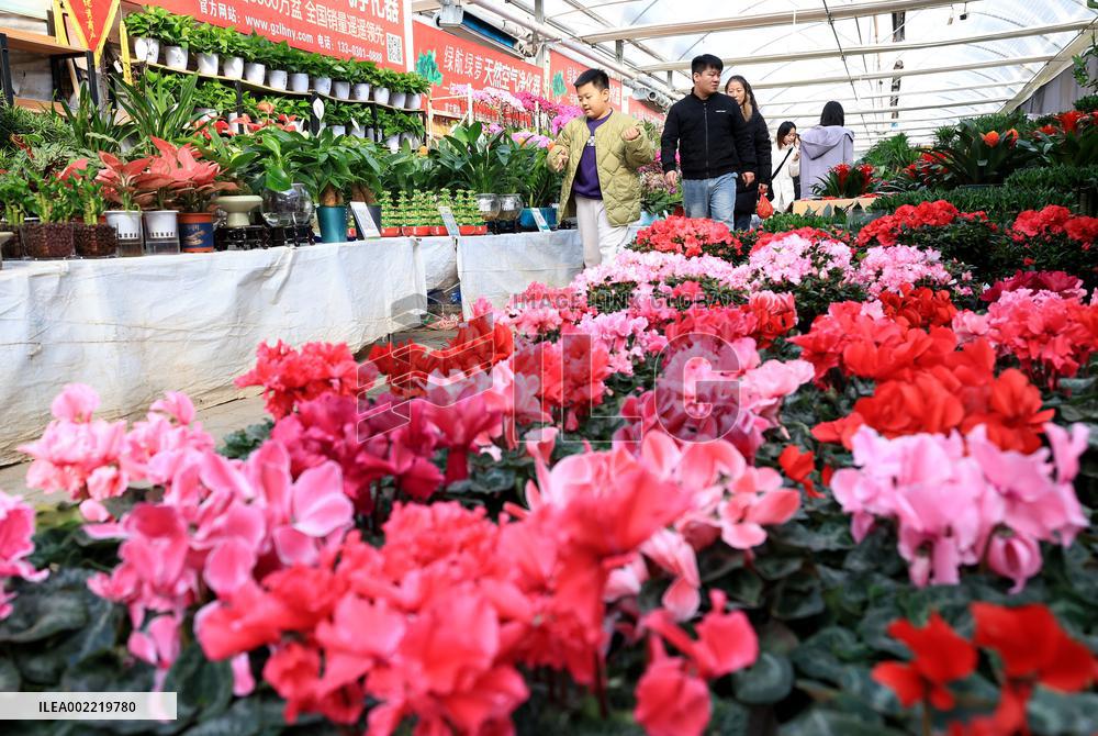 #CHINA-SPRING FESTIVAL-PREPARATION (CN)