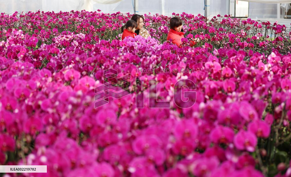 #CHINA-SPRING FESTIVAL-PREPARATION (CN)