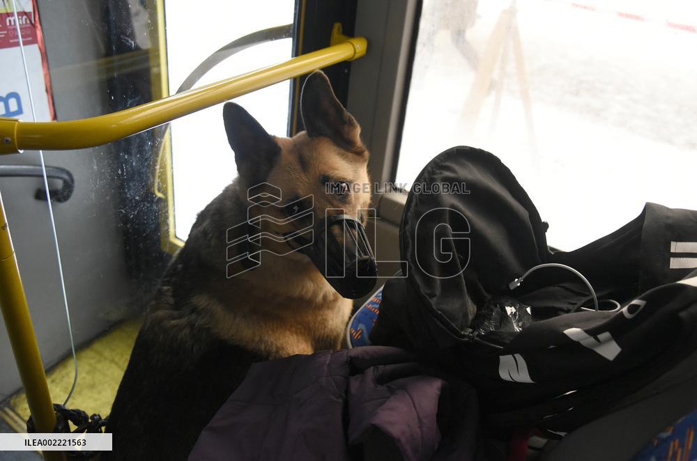 Aftermath of January 23 Russian missile attack on Kyiv