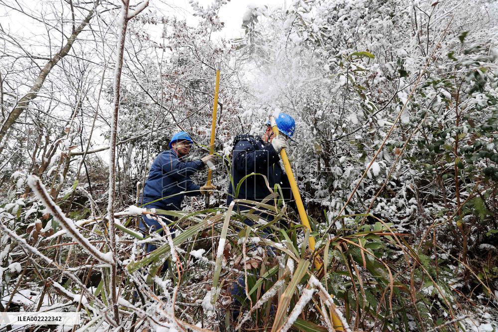 Low Temperature Freezing Disaster Level IV Emergency Response in Liuzhou