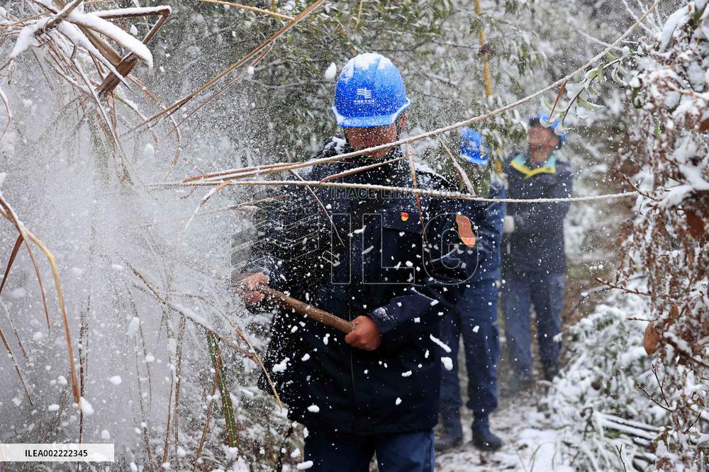 Low Temperature Freezing Disaster Level IV Emergency Response in Liuzhou