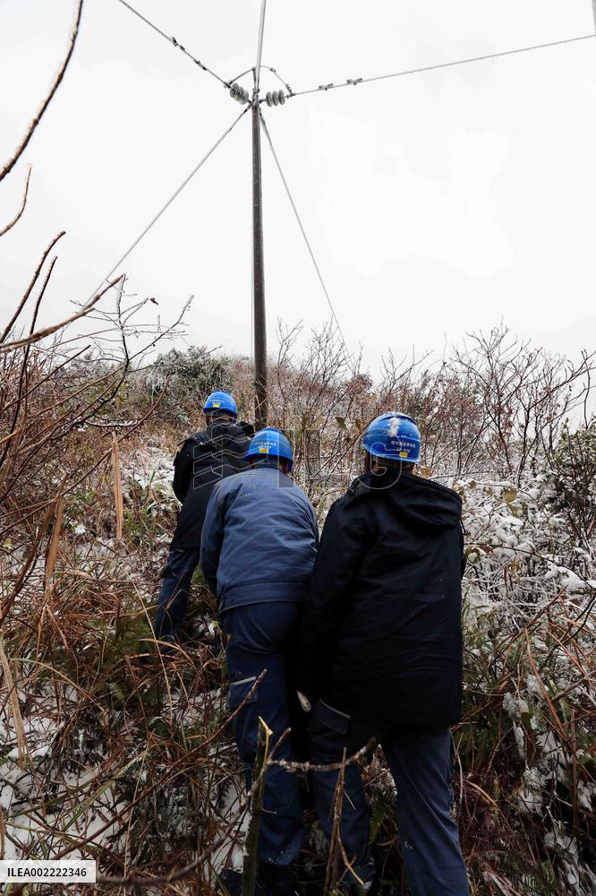 Low Temperature Freezing Disaster Level IV Emergency Response in Liuzhou