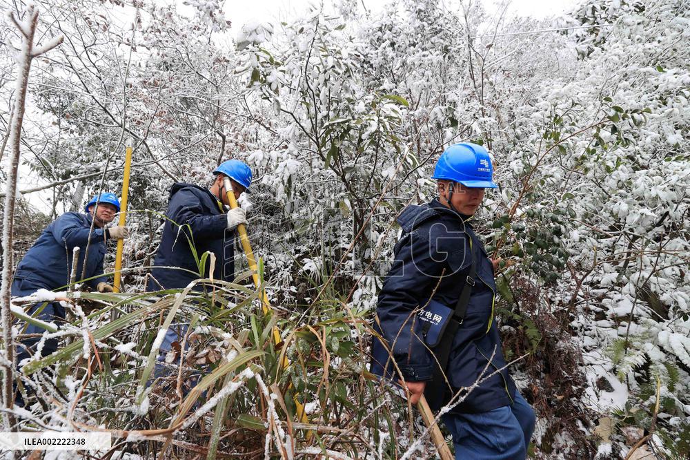 Low Temperature Freezing Disaster Level IV Emergency Response in Liuzhou