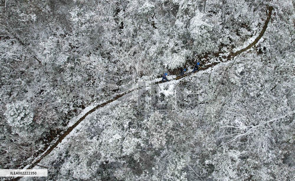 Low Temperature Freezing Disaster Level IV Emergency Response in Liuzhou