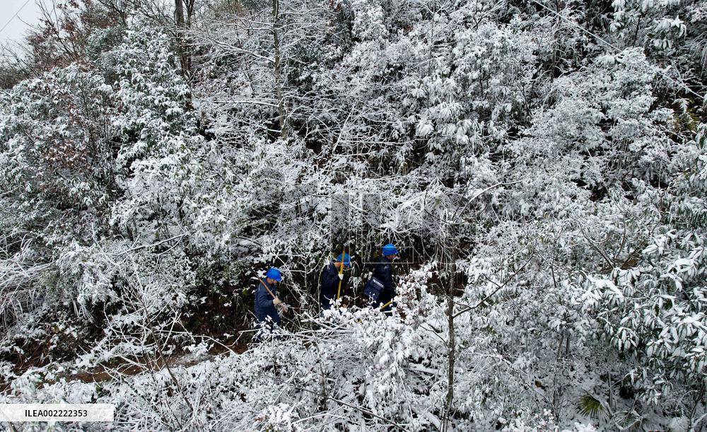 Low Temperature Freezing Disaster Level IV Emergency Response in Liuzhou