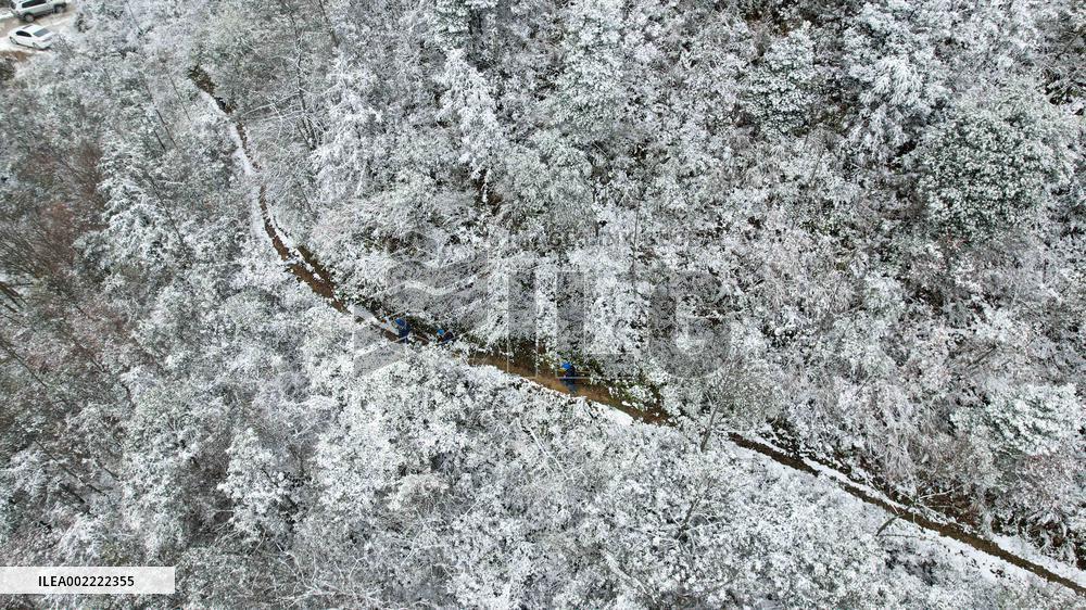 Low Temperature Freezing Disaster Level IV Emergency Response in Liuzhou