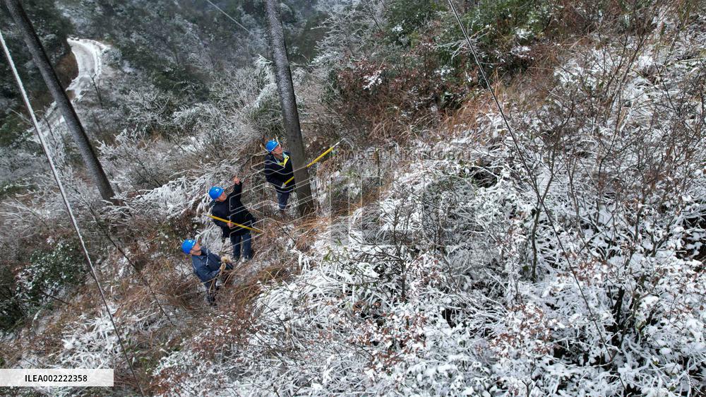 Low Temperature Freezing Disaster Level IV Emergency Response in Liuzhou