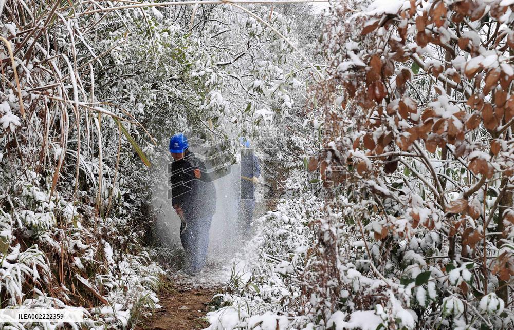 Low Temperature Freezing Disaster Level IV Emergency Response in Liuzhou