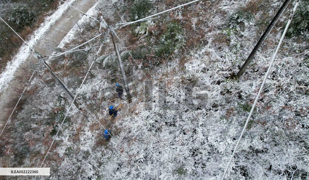 Low Temperature Freezing Disaster Level IV Emergency Response in Liuzhou