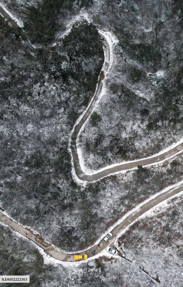 Low Temperature Freezing Disaster Level IV Emergency Response in Liuzhou