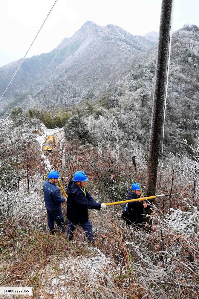 Low Temperature Freezing Disaster Level IV Emergency Response in Liuzhou