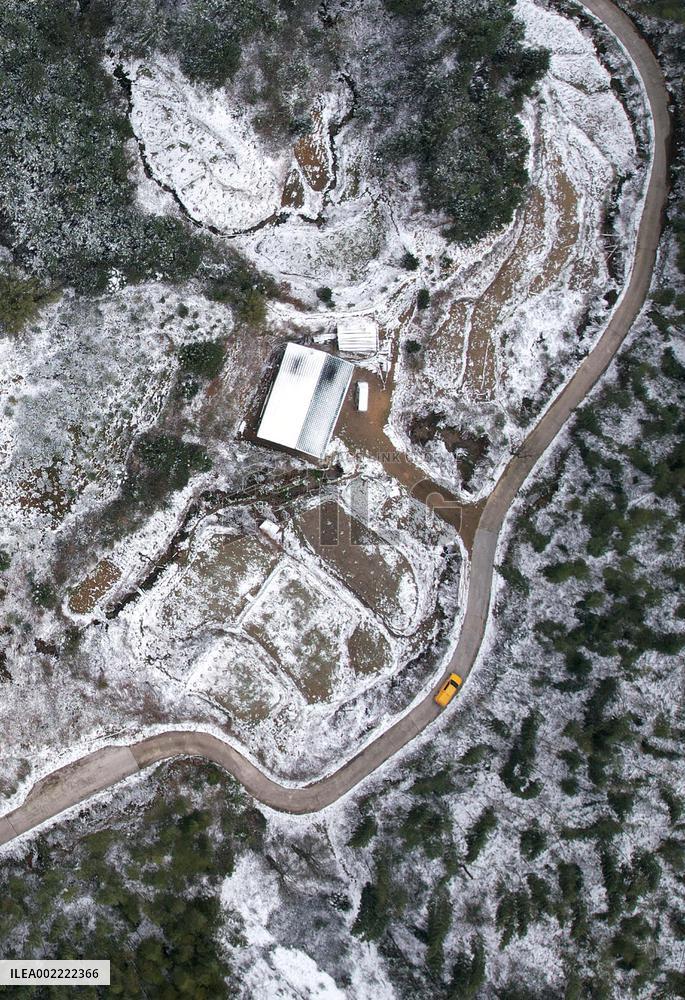 Low Temperature Freezing Disaster Level IV Emergency Response in Liuzhou