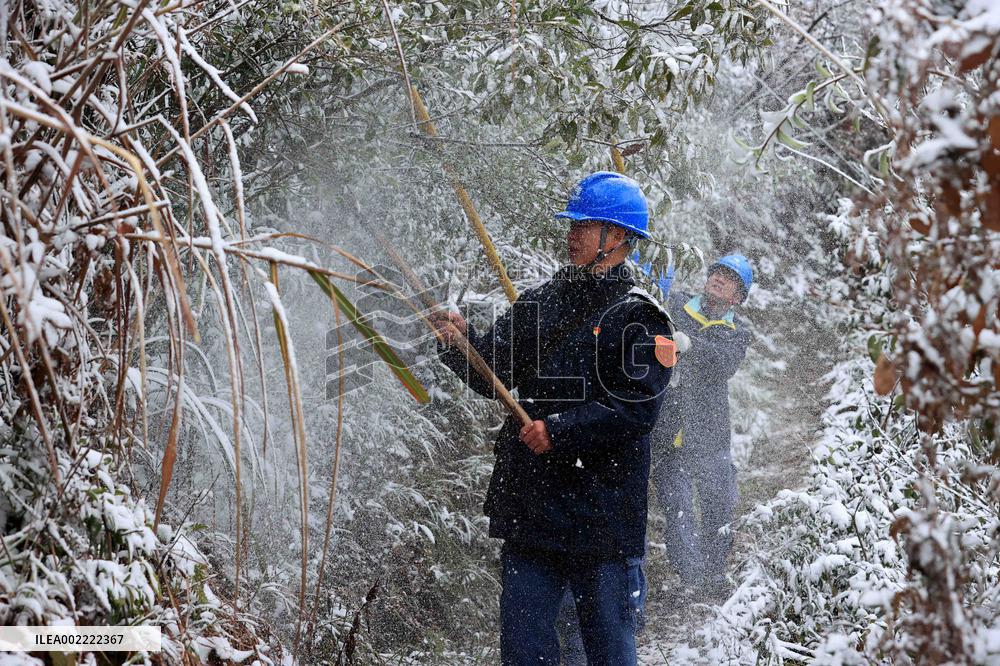 Low Temperature Freezing Disaster Level IV Emergency Response in Liuzhou