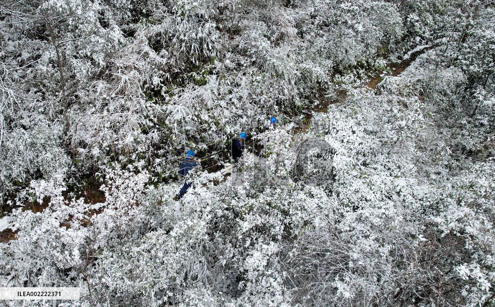 Low Temperature Freezing Disaster Level IV Emergency Response in Liuzhou