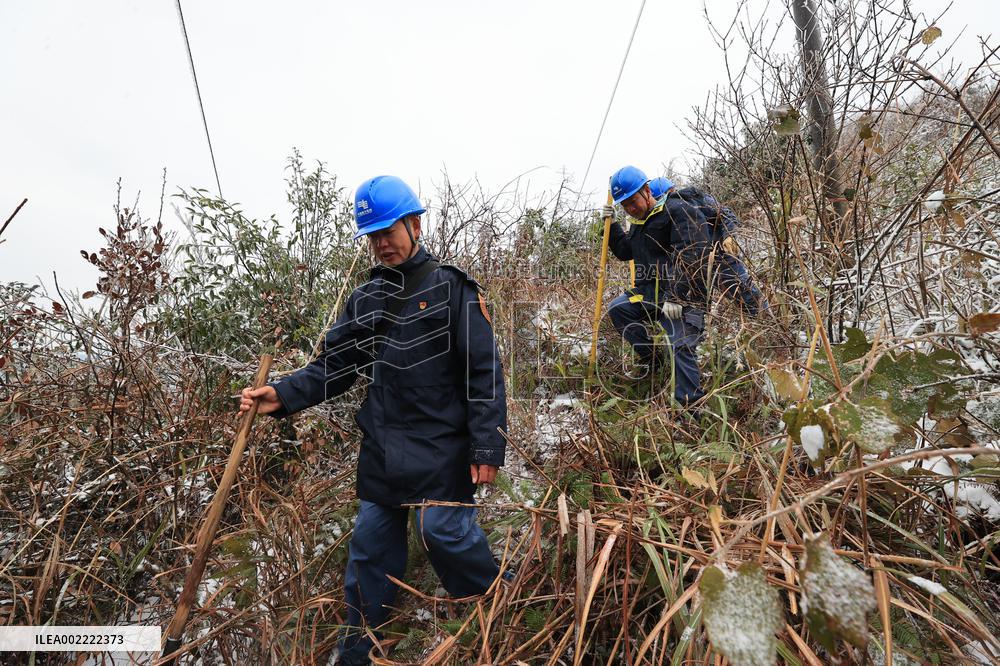 Low Temperature Freezing Disaster Level IV Emergency Response in Liuzhou