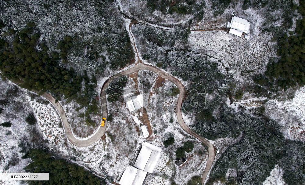 Low Temperature Freezing Disaster Level IV Emergency Response in Liuzhou