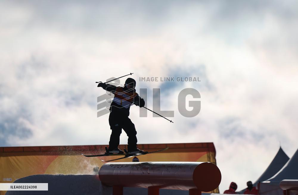 (SP)SOUTH KOREA-HOENGSEONG-WINTER YOUTH OLYMPIC GAMES-FREESTYLE SKIING