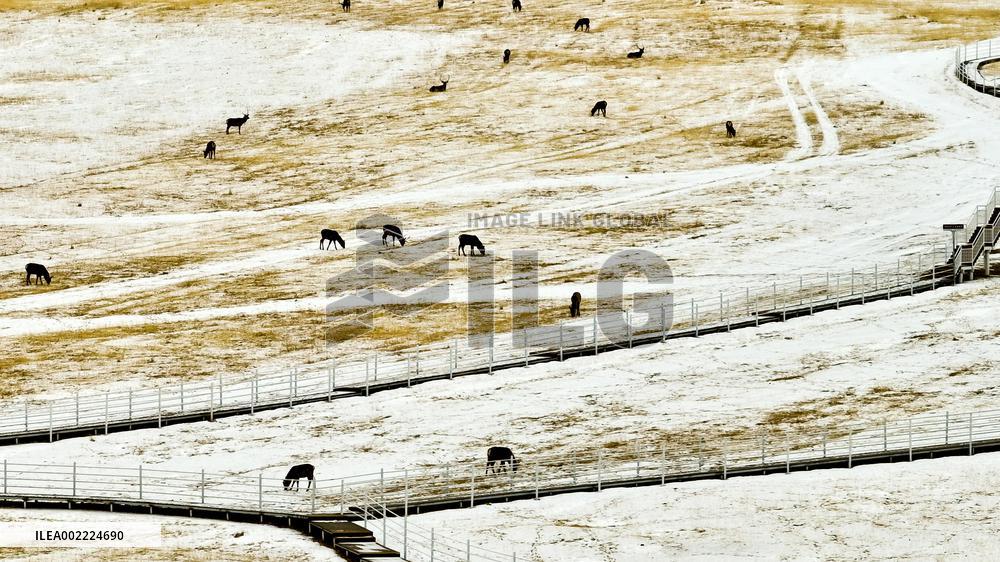 Qilian Mountains After Snow in Zhangye