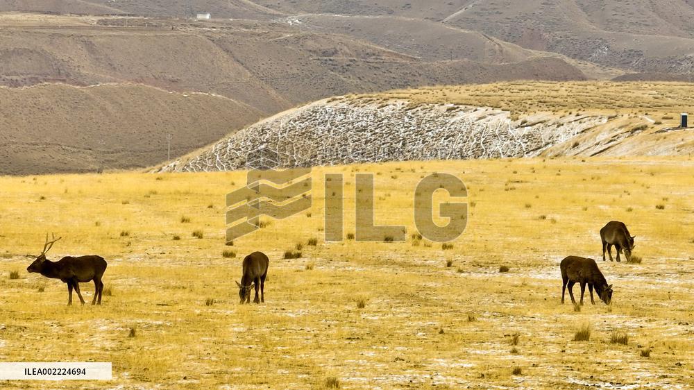 Qilian Mountains After Snow in Zhangye