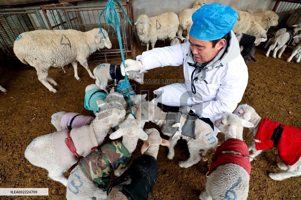 Livestock And Veterinary Workstation in Zhangye