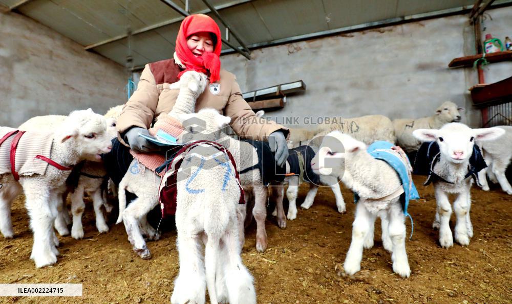 Livestock And Veterinary Workstation in Zhangye