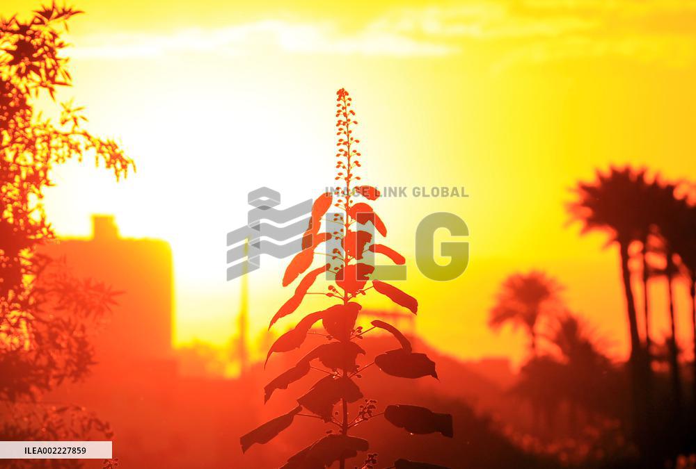 EGYPT-CAIRO-SUNSET