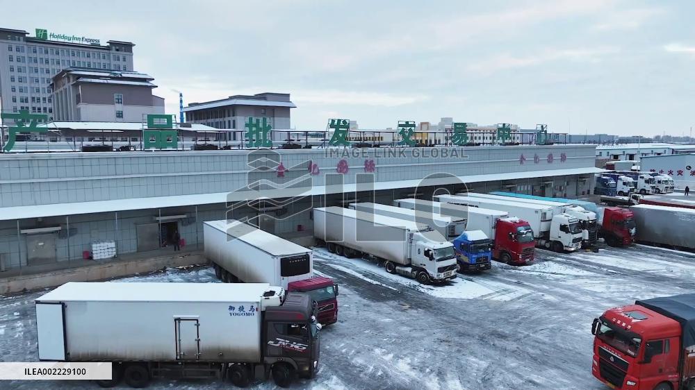 China exports 196,000 tonnes of fruits and vegetables via Horgos Port to Central Asia in 2023