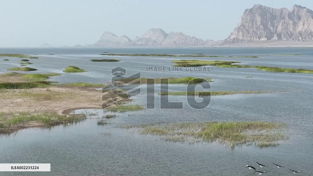 Diverse culture empowers ancient Silk Road hub's modern development