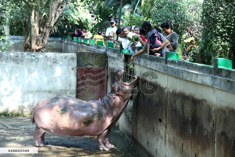 MYANMAR-YANGON-ZOO-118TH ANNIVERSARY-CELEBRATION