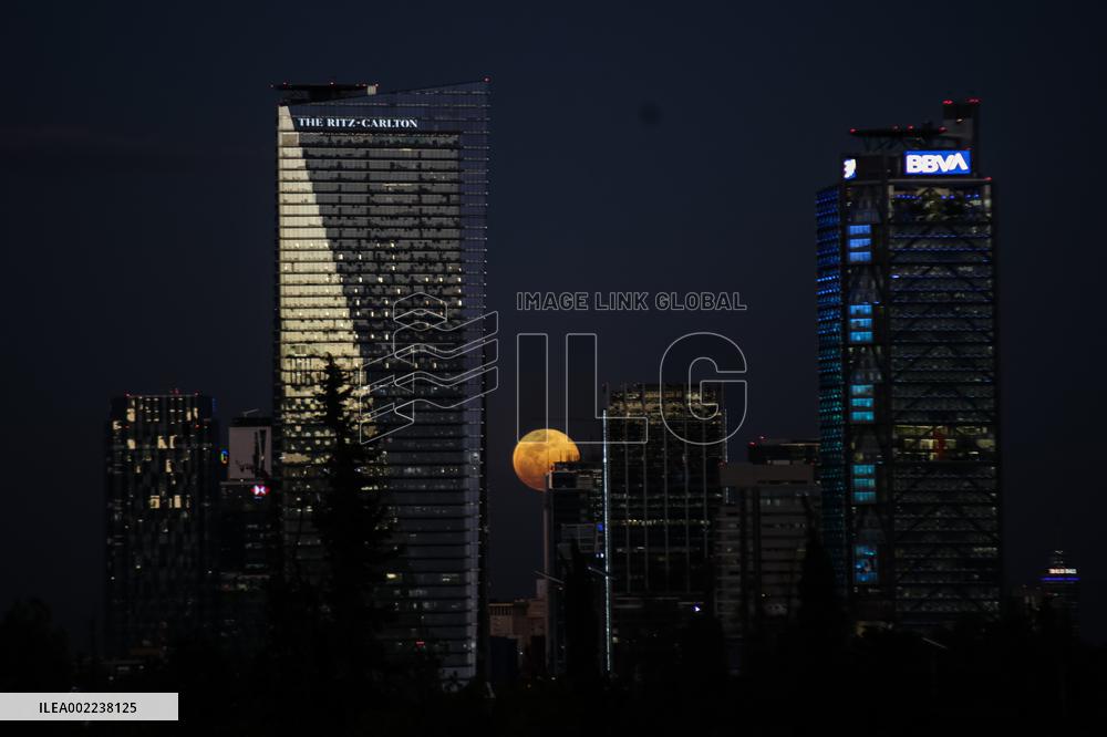 XINHUA PHOTOS OF THE DAY