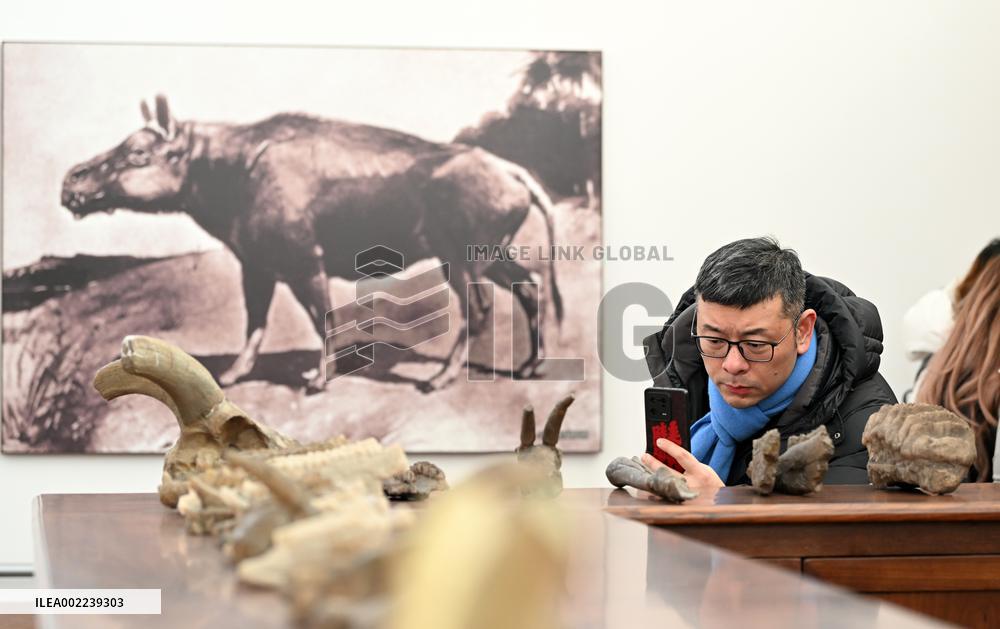 CHINA-TIANJIN-BEIJIANG MUSEUM (CN)